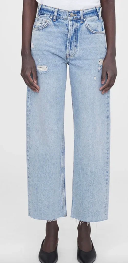 Discount Anine Bing Jeans Gavin