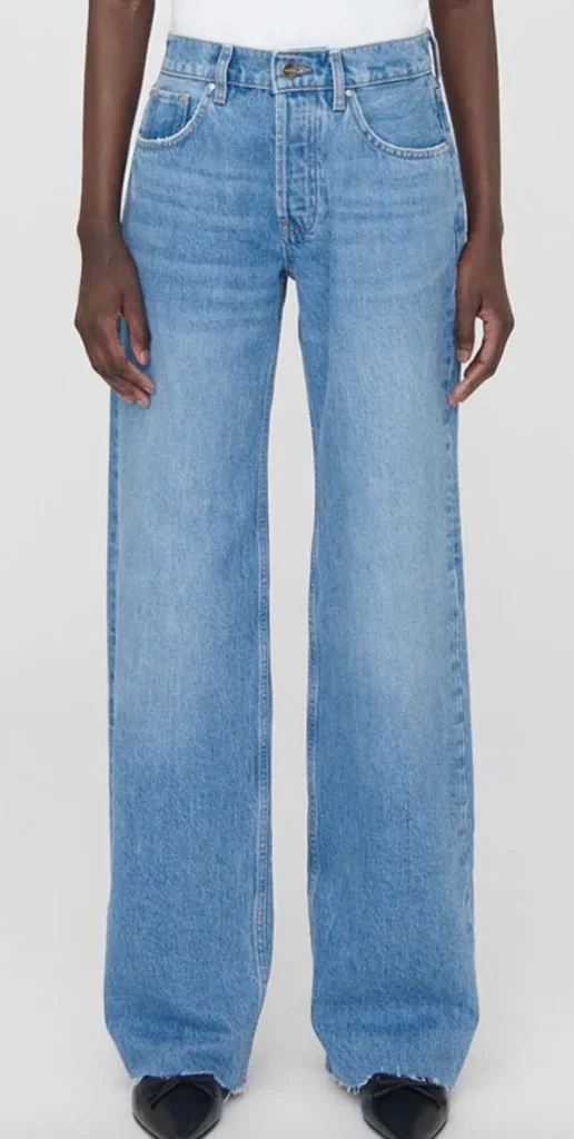 Best Anine Bing Jeans Hugh